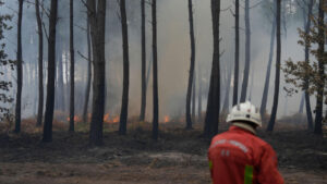 George Clooney y su familia evacúan su casa en Francia debido a los incendios forestales