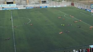 ¡Insólito! Enjambre abejas interrumpe partido de la liga de fútbol hondureña